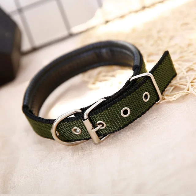 Adjustable Nylon Dog Collar
