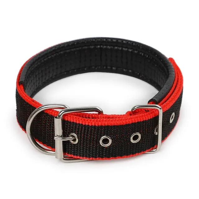 Adjustable Nylon Dog Collar