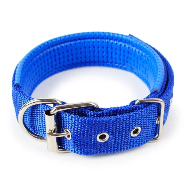 Adjustable Nylon Dog Collar