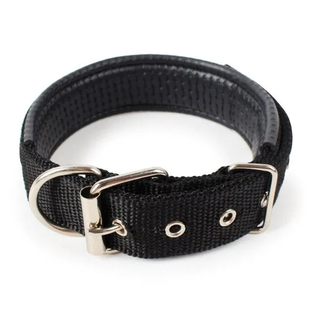 Adjustable Nylon Dog Collar