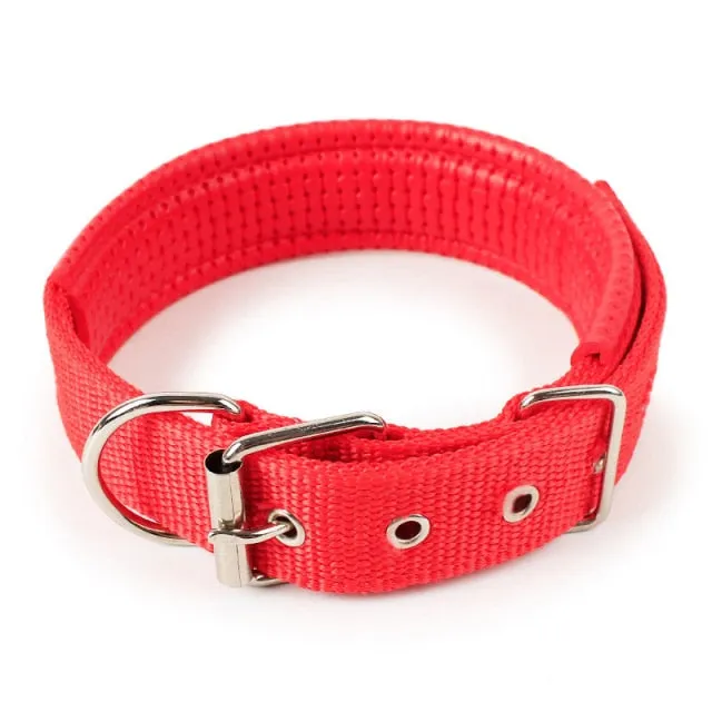 Adjustable Nylon Dog Collar