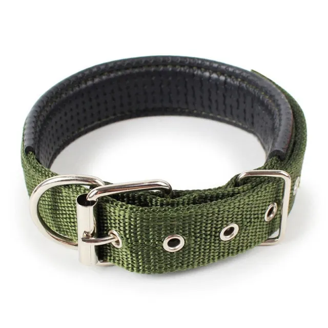 Adjustable Nylon Dog Collar