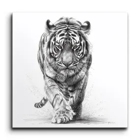 Dynamic Tiger in Motion: Monochromatic Masterpiece