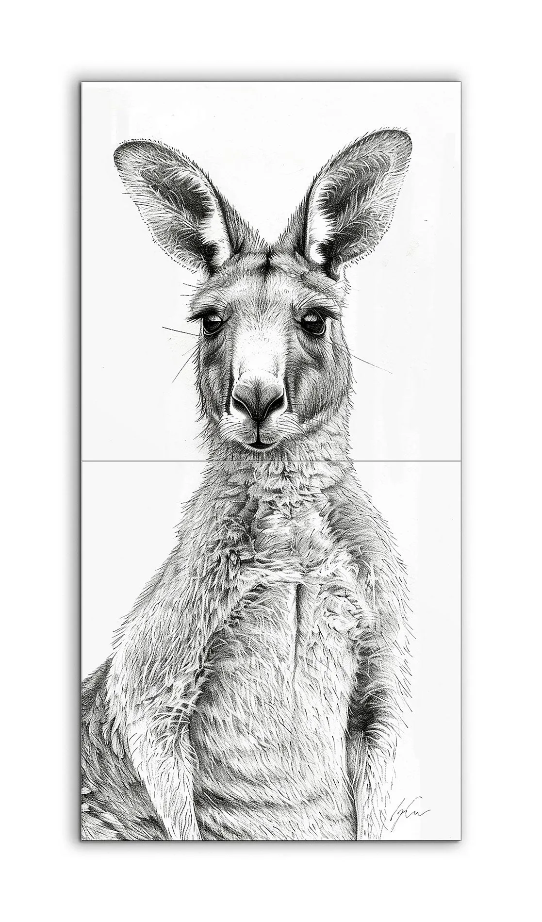 Kangaroo Realism: Detailed Black & White Illustration