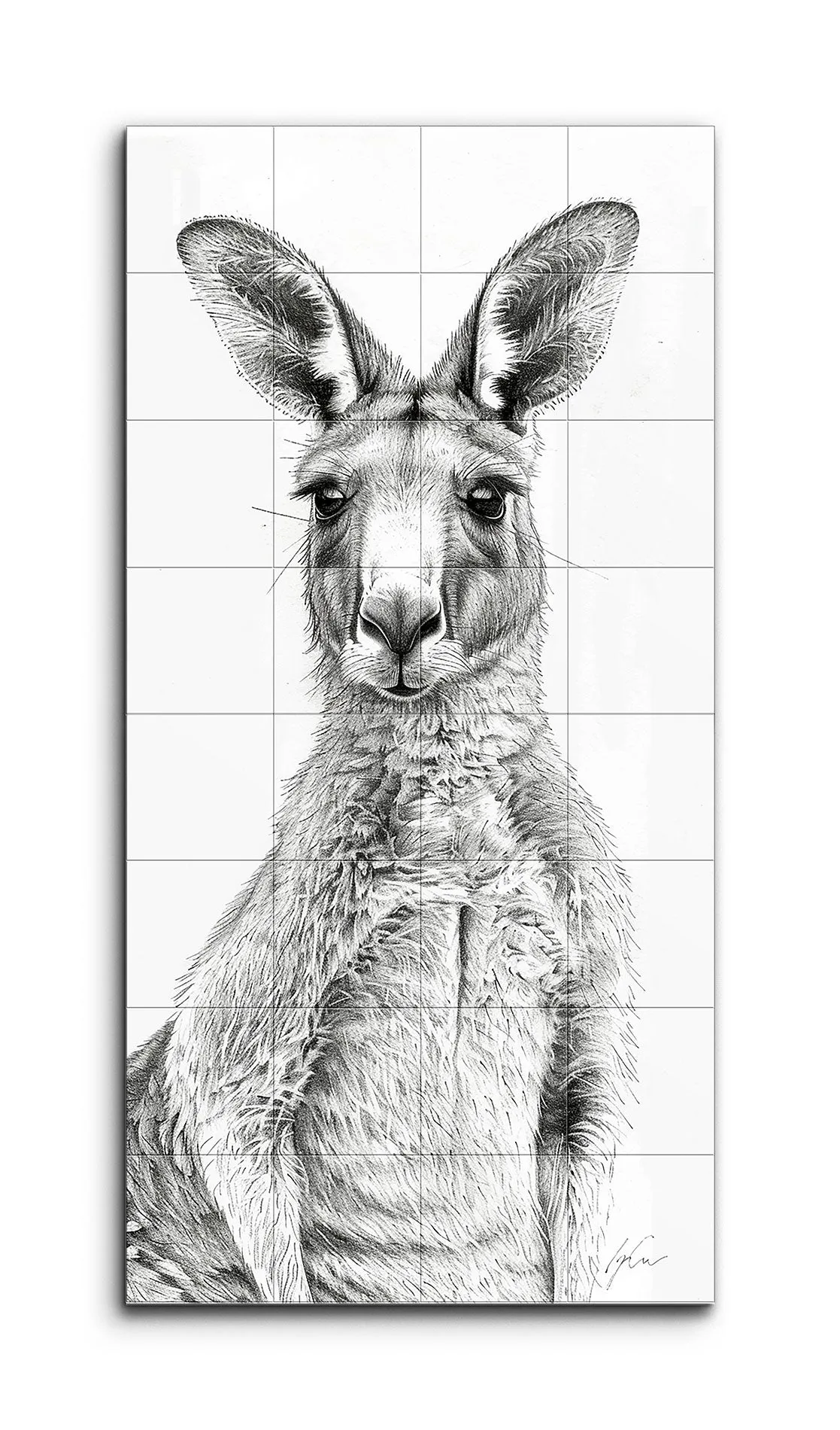 Kangaroo Realism: Detailed Black & White Illustration