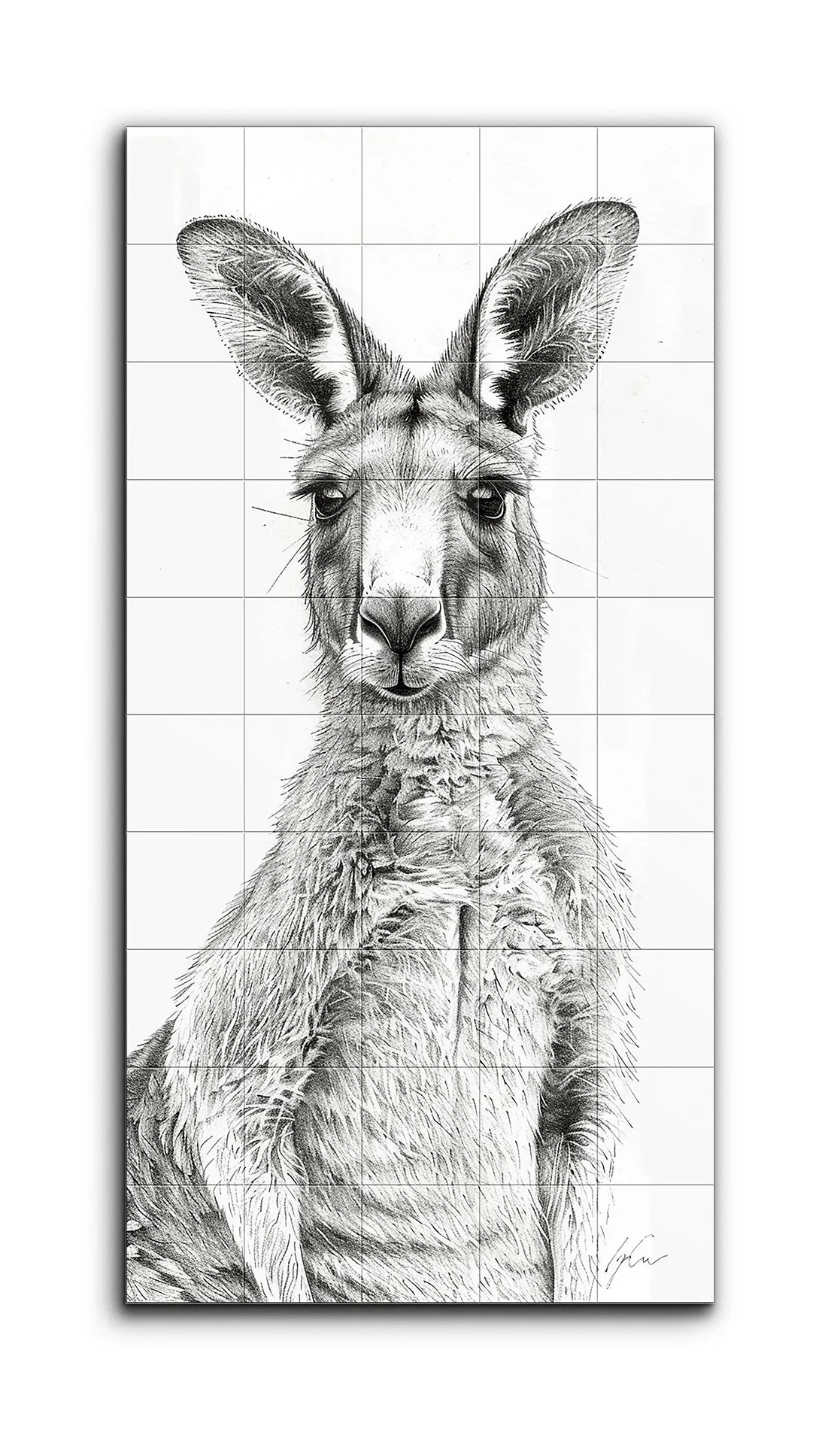 Kangaroo Realism: Detailed Black & White Illustration