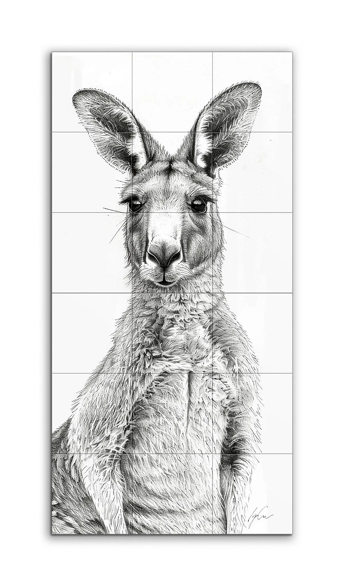 Kangaroo Realism: Detailed Black & White Illustration