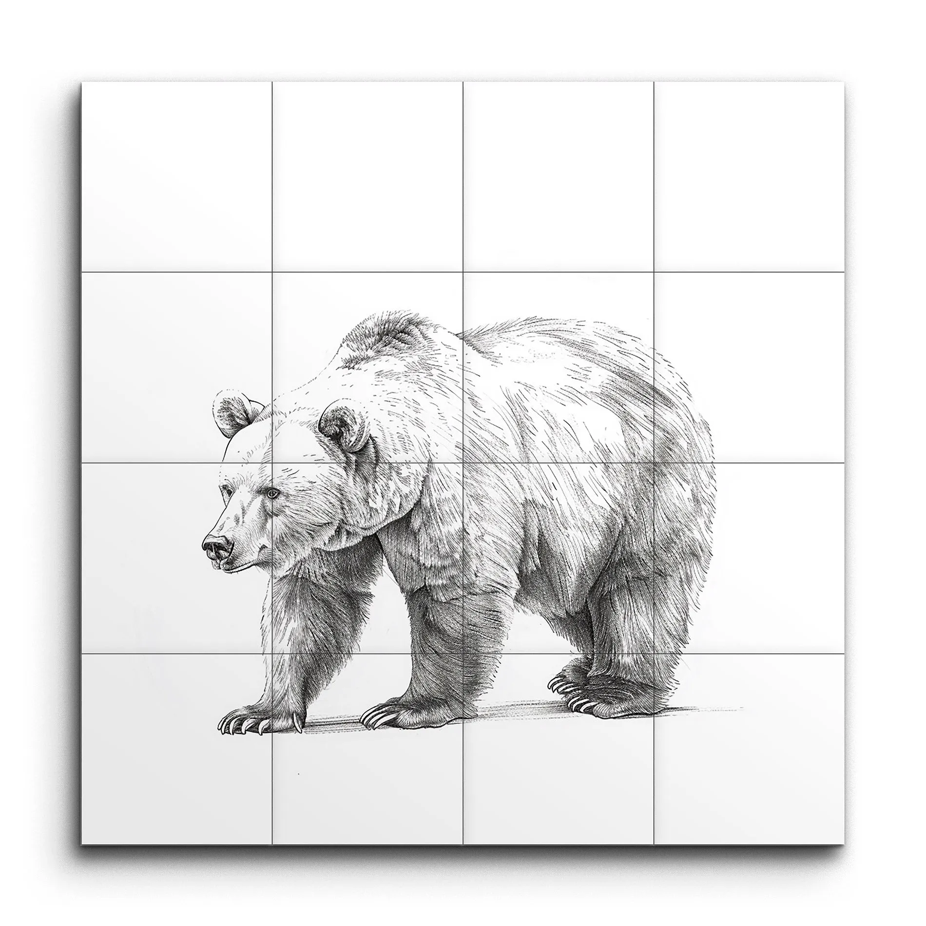 Monochrome Bear: Lifelike Scientific Illustration