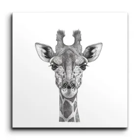 Monochrome Giraffe Elegance