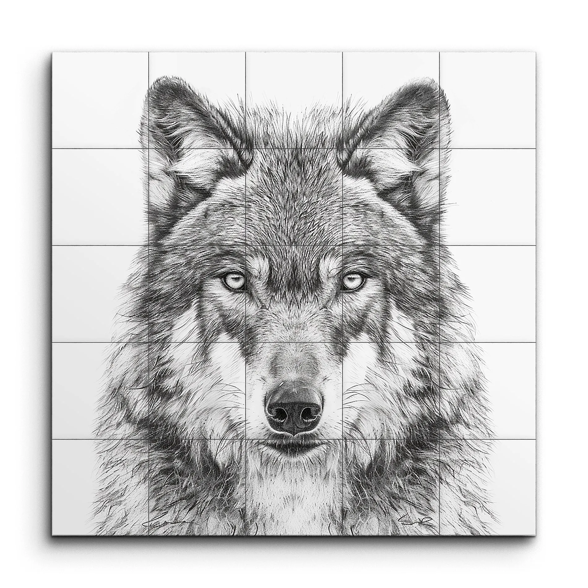 Monochrome Wolf Gaze: Hyper-Realistic Art
