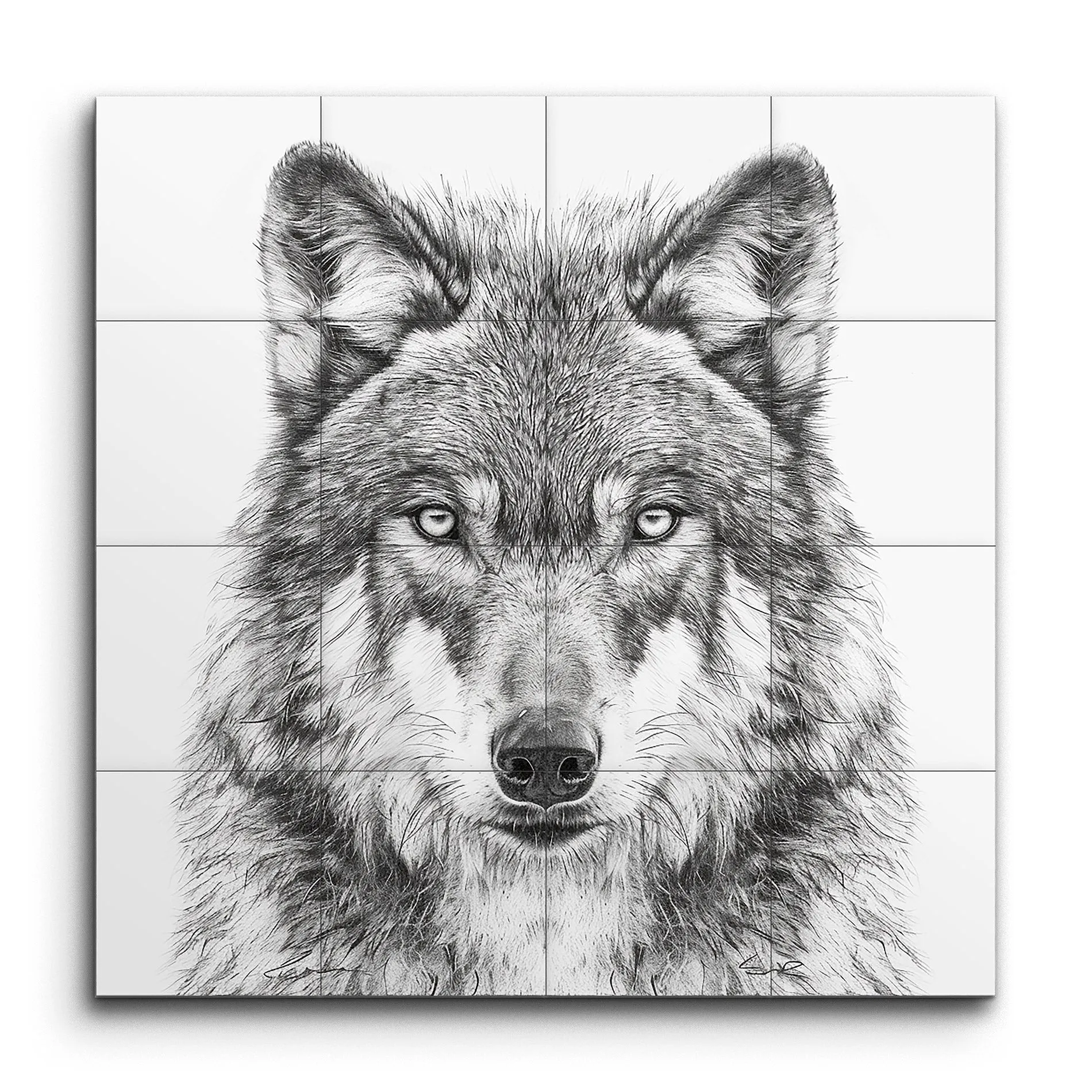 Monochrome Wolf Gaze: Hyper-Realistic Art