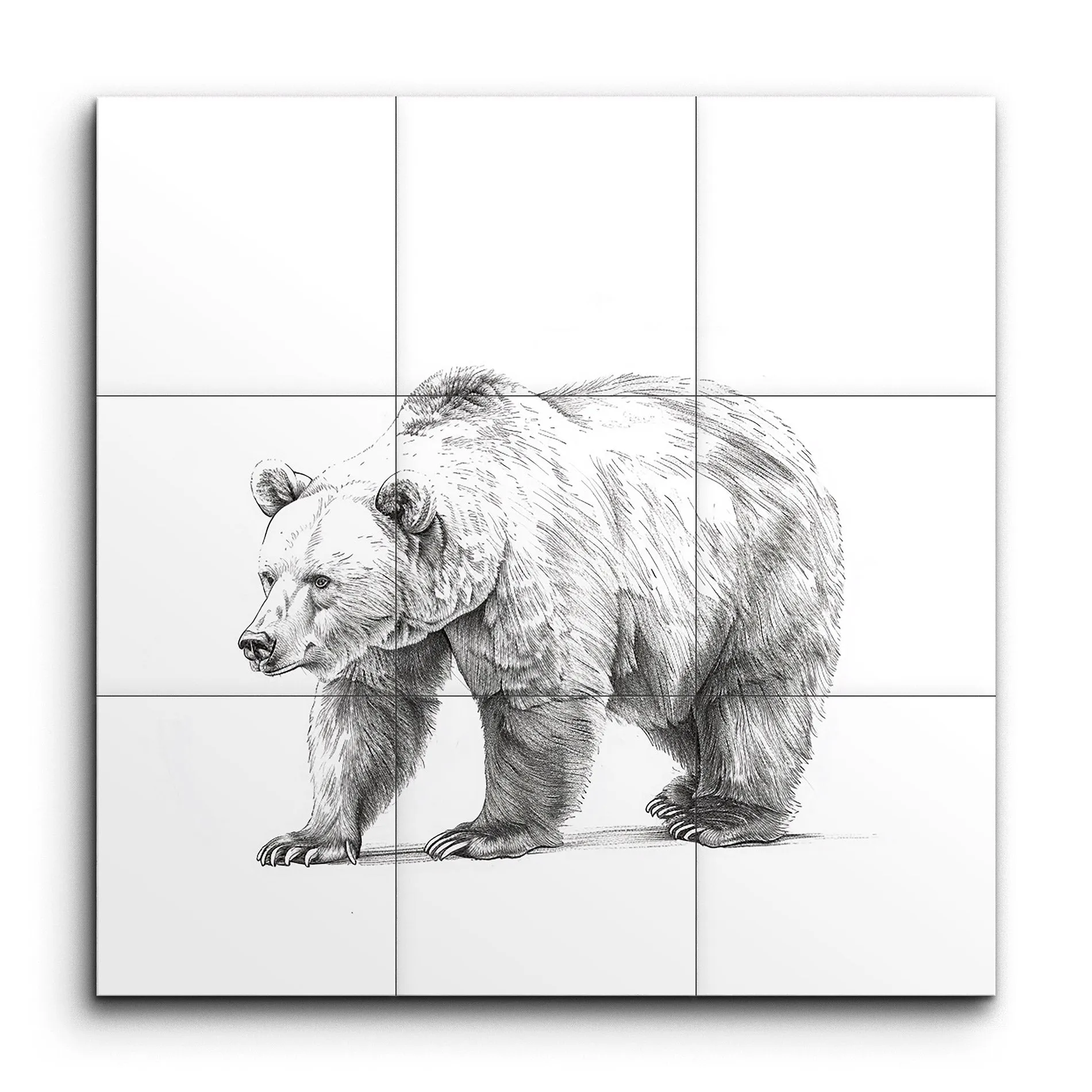 Purposeful Bear in Monochrome: Detailed Art Piece