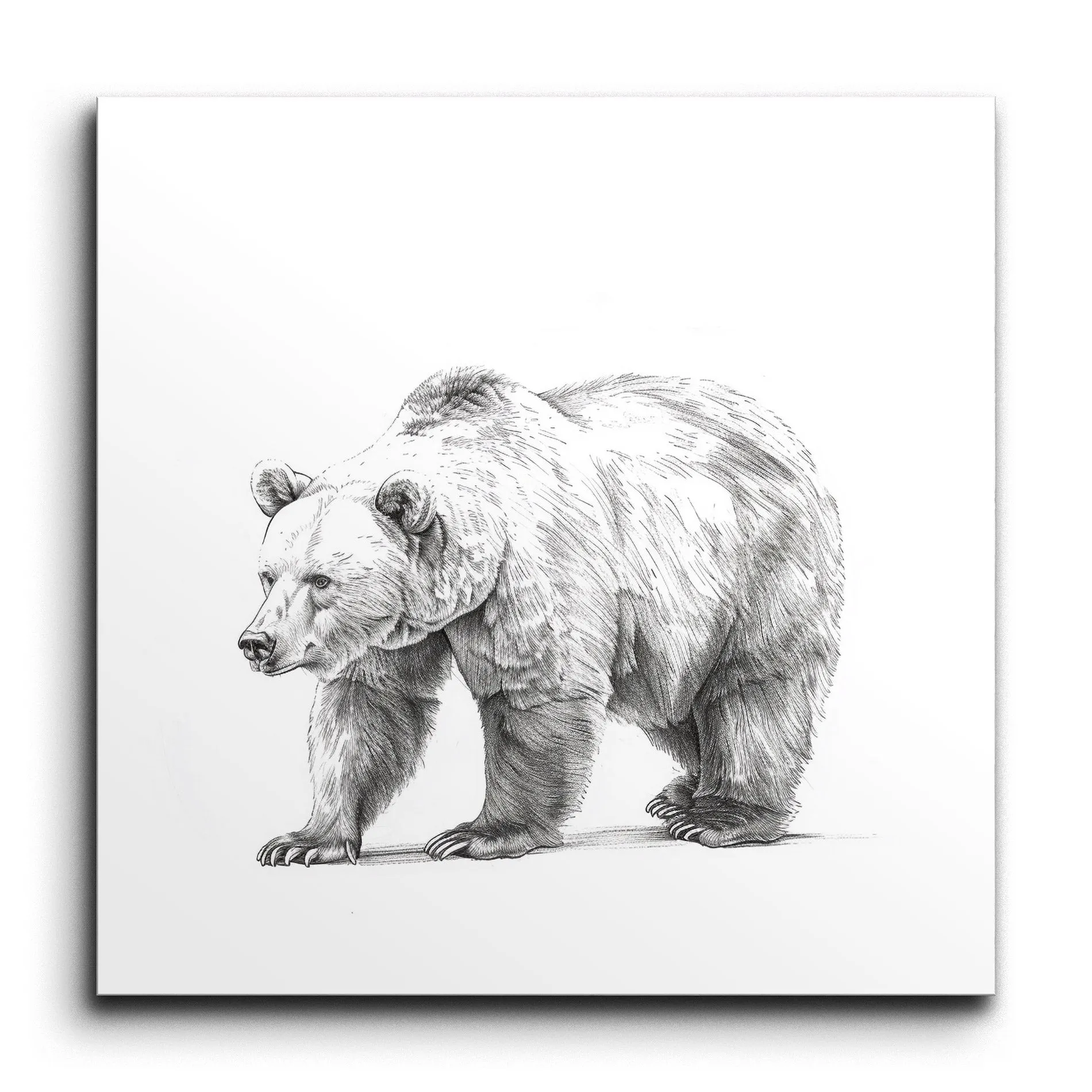 Purposeful Bear in Monochrome: Detailed Art Piece