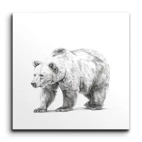 Purposeful Bear in Monochrome: Detailed Art Piece