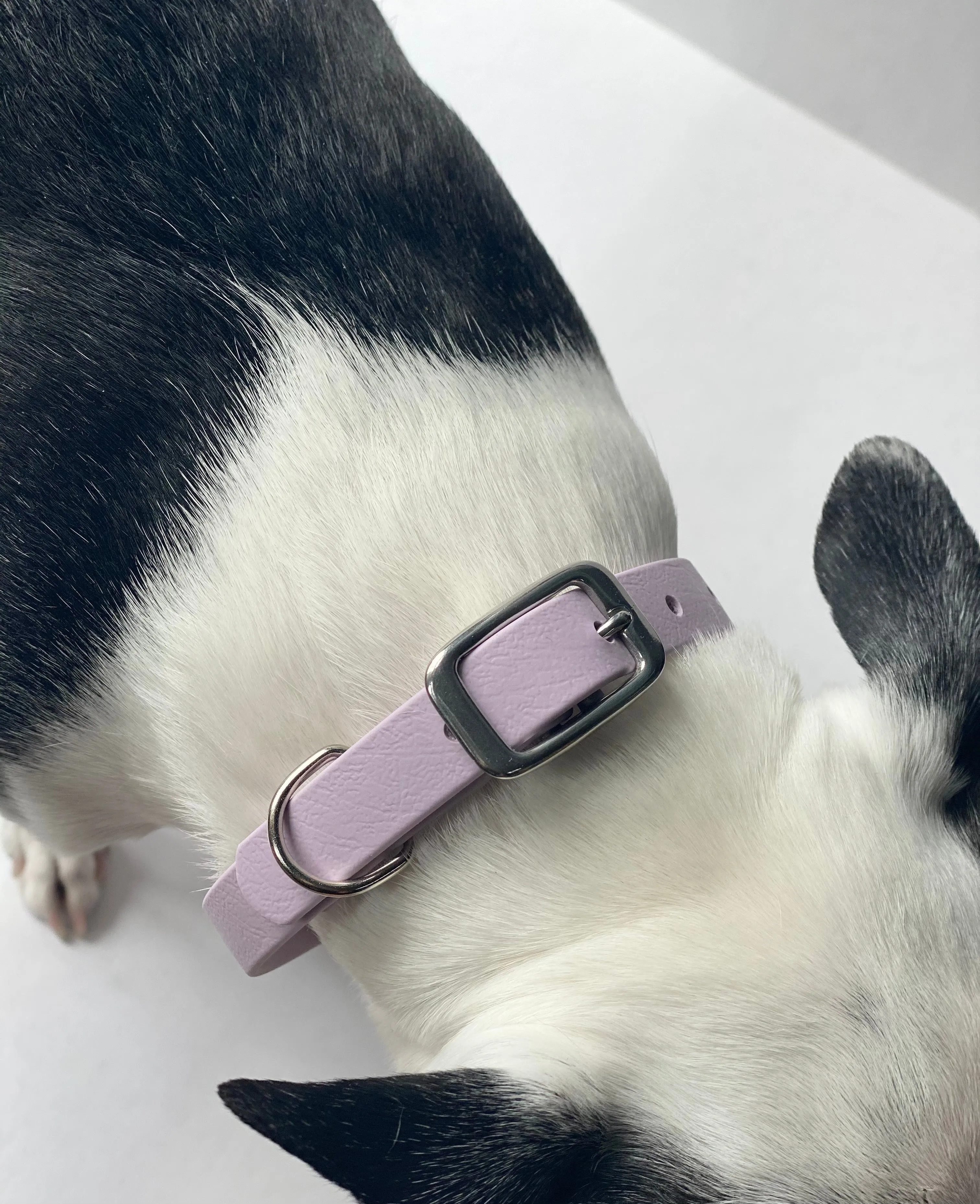 Walk By Good Boy - Biothane Collar - Pastel
