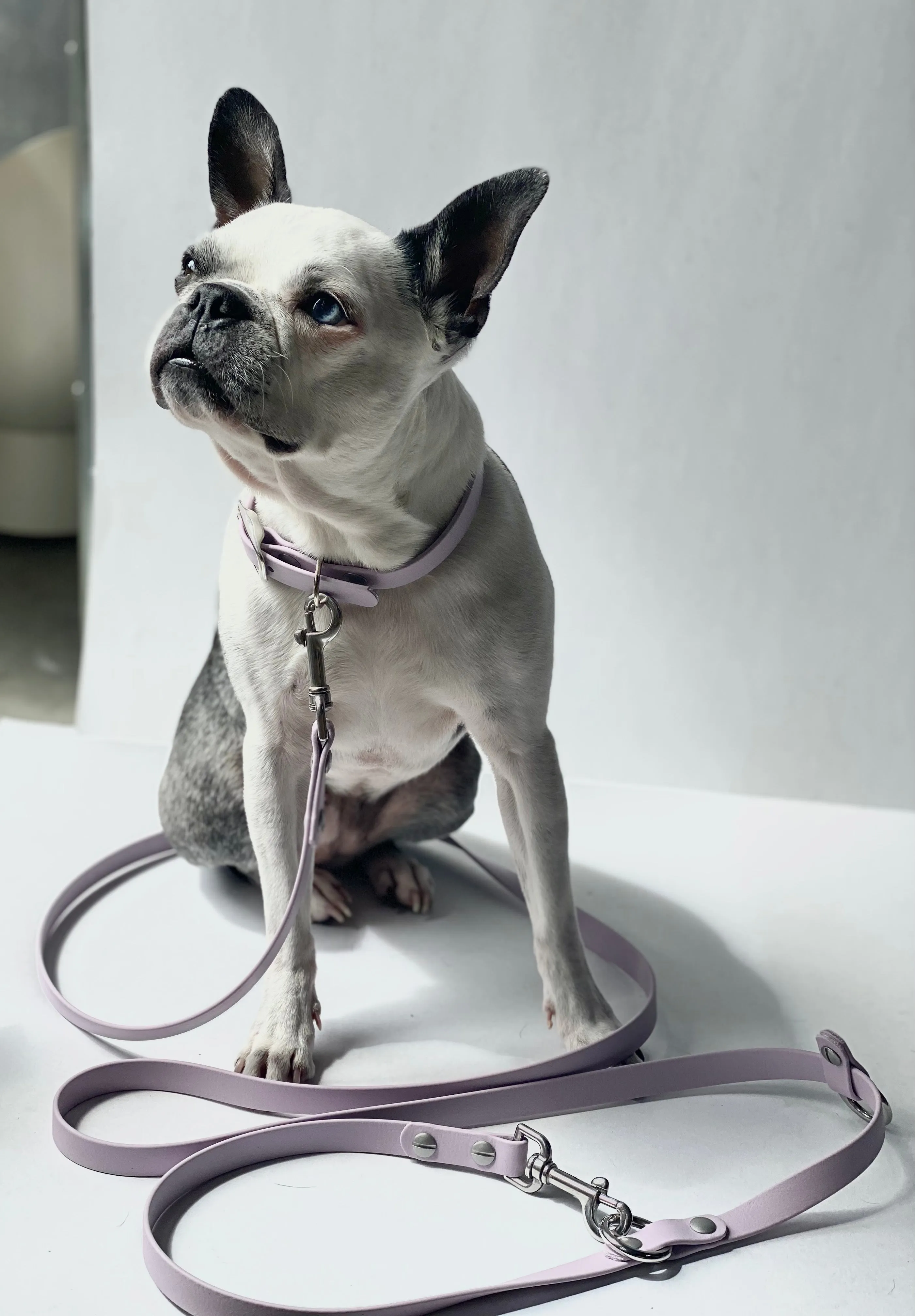 Walk By Good Boy - Biothane Collar - Pastel