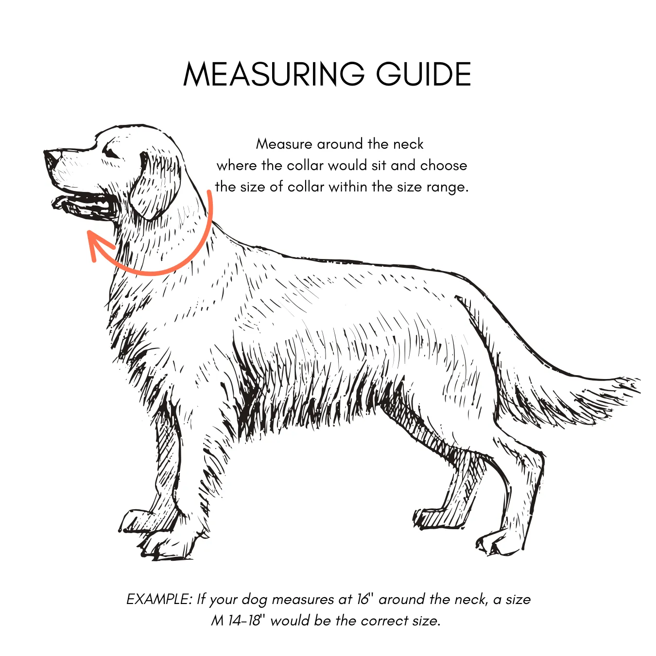 Walk By Good Boy - Biothane Collar - Pastel